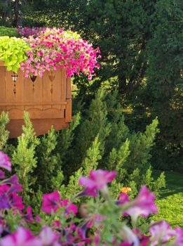 Pretty Purple and Violet Petunias on a Balcony Garden