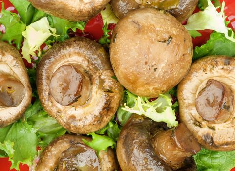 Background of Perfect Roasted Champignons with Greens on Red Plate closeup. Top View