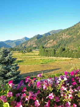 A Mountain Country View From a Flowery Balcony