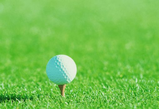 Golf ball on tee over a blurred green.