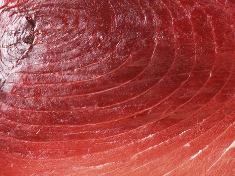 Fresh red salmon texture. Closeup isolated on