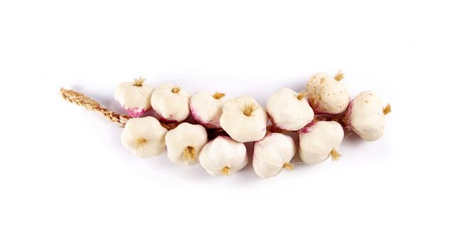 Bunch of garlic
