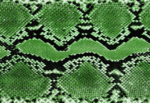 crocodile skin