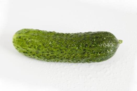 cucumber isolated on white background for sale