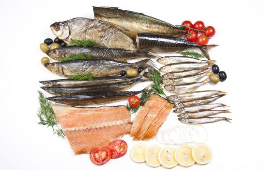 great composition of different fish