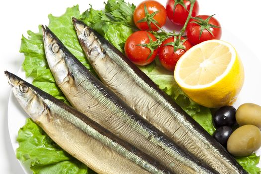Smoked sprat-appetizing snack on white
