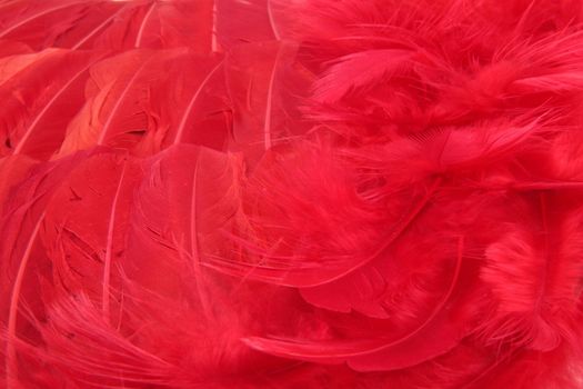 Red feather scarf texture