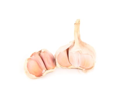 Garlic isolated on white