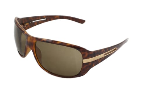 Stylish sunglasses isolated