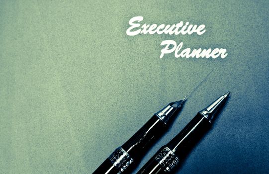 red executive planner with two pens splitted tone in lansdcape orientation