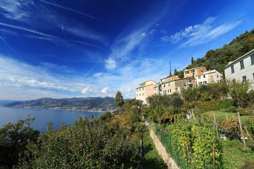 view from San Rocco in Camogli, characteristic small village in Liguria, Italy