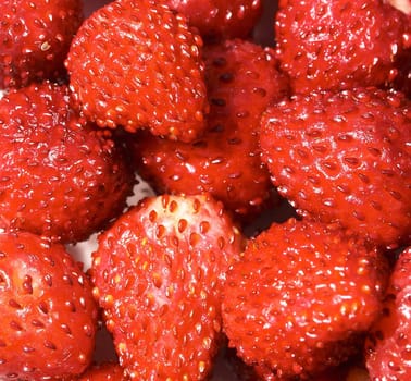 fresh strawberry