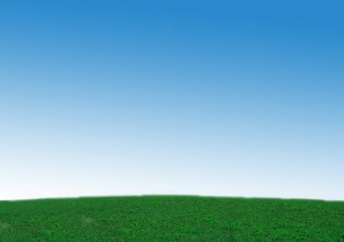 fresh green grass with bright blue sky
