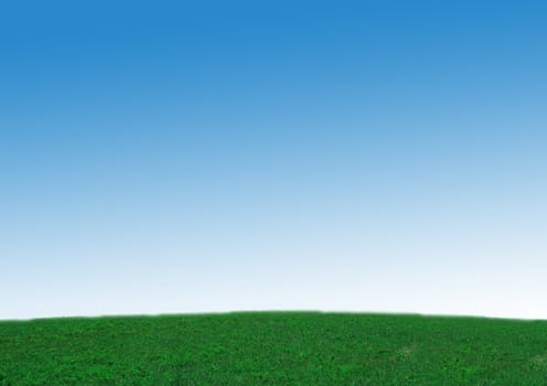 fresh green grass with bright blue sky