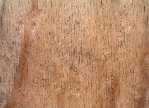 Old wood texture can be used as background