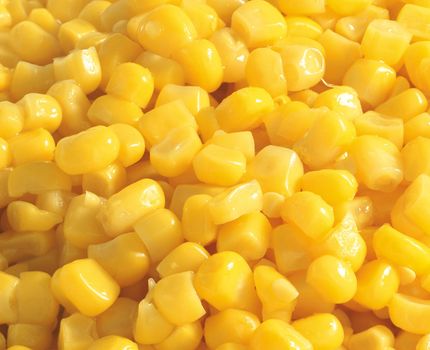 Sweet corn background