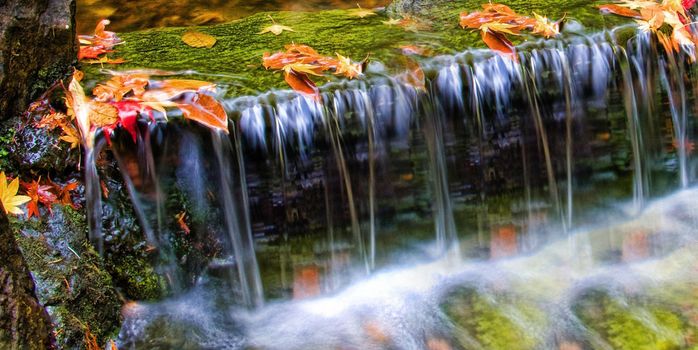 waterfall clos up isolated on nature background