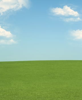 green field and blue sky