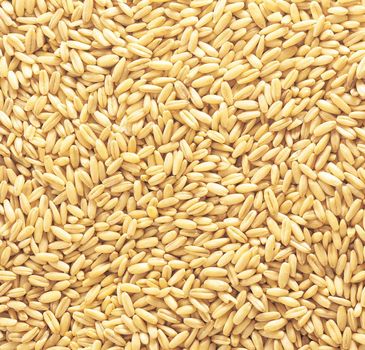 natural oat grains background