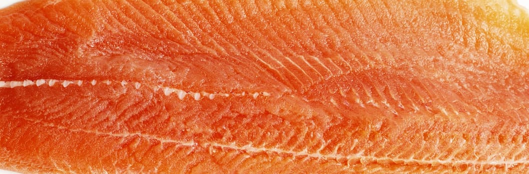 red raw salmon fish food
