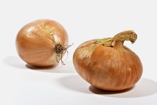 two onion isolated on a white background