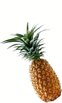 Pineapple isolated