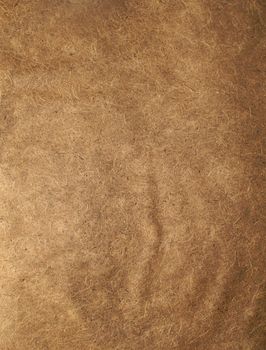 Brown Paper Texture and can be background