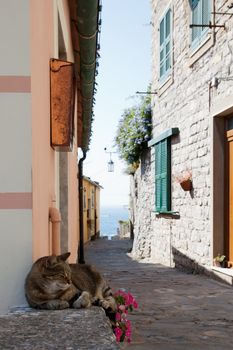 small street in Portovenere , village in Italy