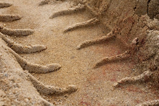 Tire Tracks in the Sand