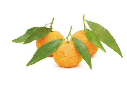 fresh mandarine isolated on a white background
