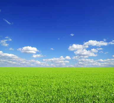 field on a background of the blue sky