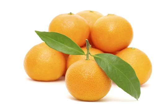 mandarin isolated on a white background