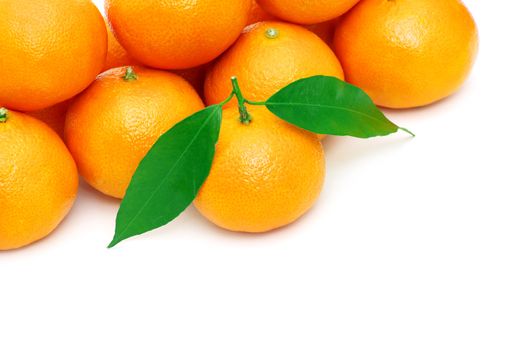  tangerine isolated on a white background