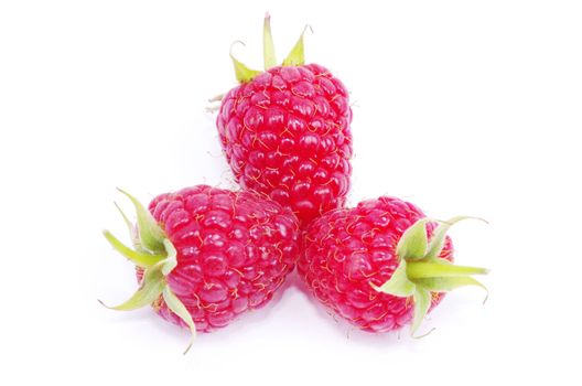 fresh raspberry closeup isolated on white background