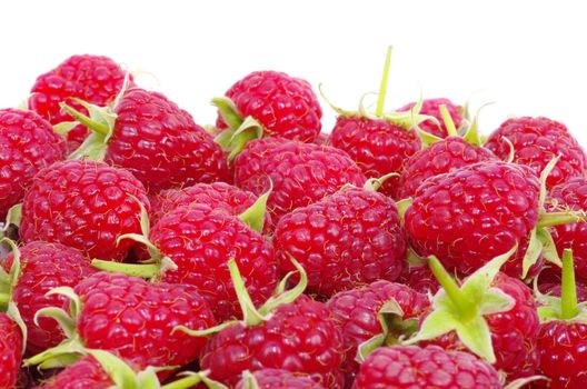 raspberry closeup isolated on white background