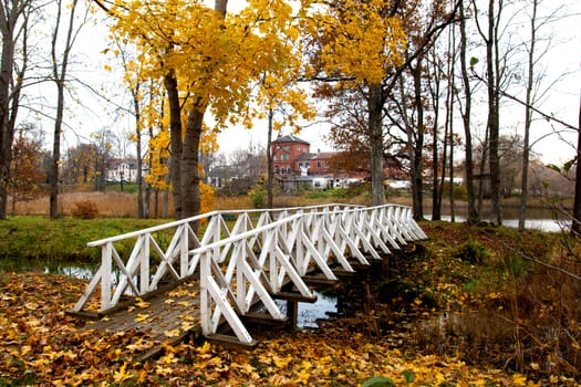 Wooden footbridge over a small river in autumn day