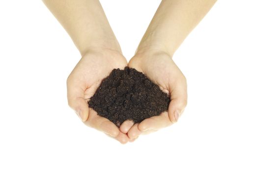 earth in hands isolated on a white background