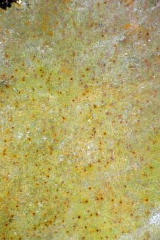 A colored texture of rusted plate of metal