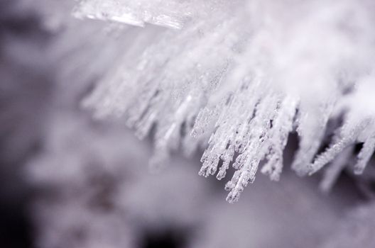 close up of ice crystals forming spiky ornaments