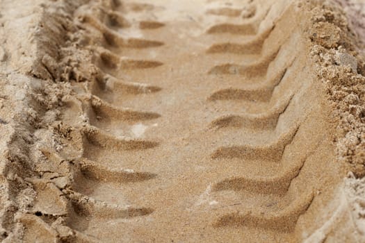 Tire Tracks in the Sand