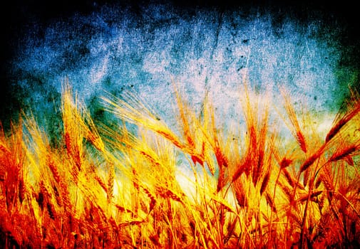 Wheat ears against the blue  sky
