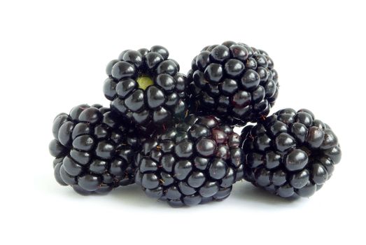 blackberry isolated on a white background