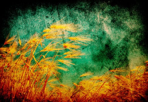 grunge wheat background with space for text or image