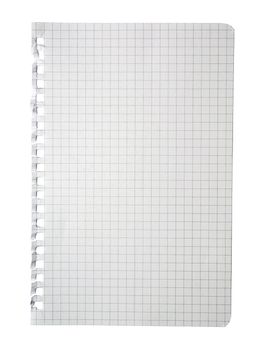 Torn checked notepad page isolated on white background.