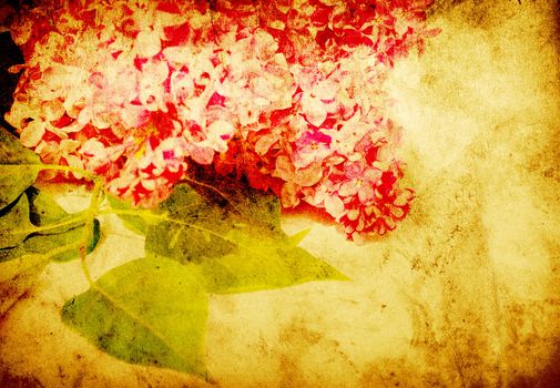 grunge background with space for text or image
