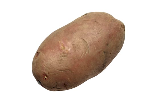 Studio shot of single potato isolated on white background.