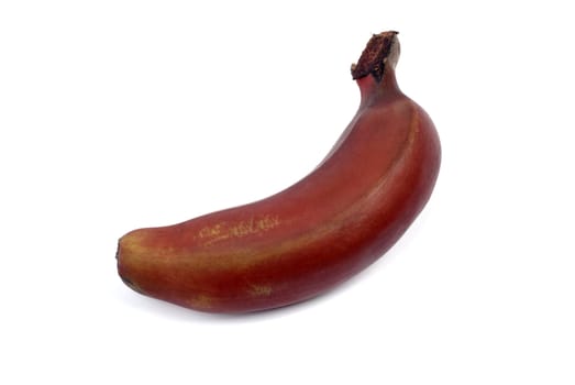 Single red banana isolated on white background with shadow.