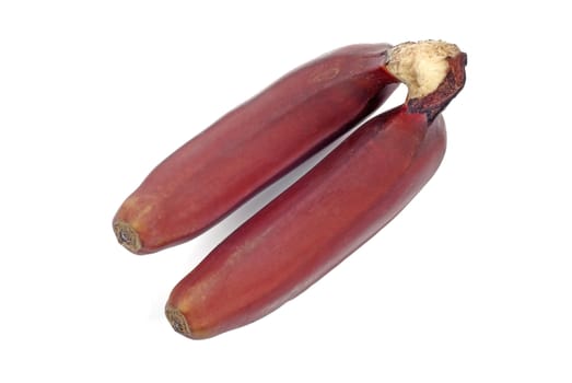 Two red banana in bunch isolated on white background.