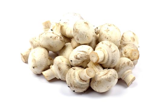 Heap of edible mushrooms isolated on white background with shadow.