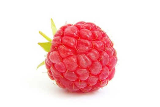 fresh raspberry closeup isolated on white background
